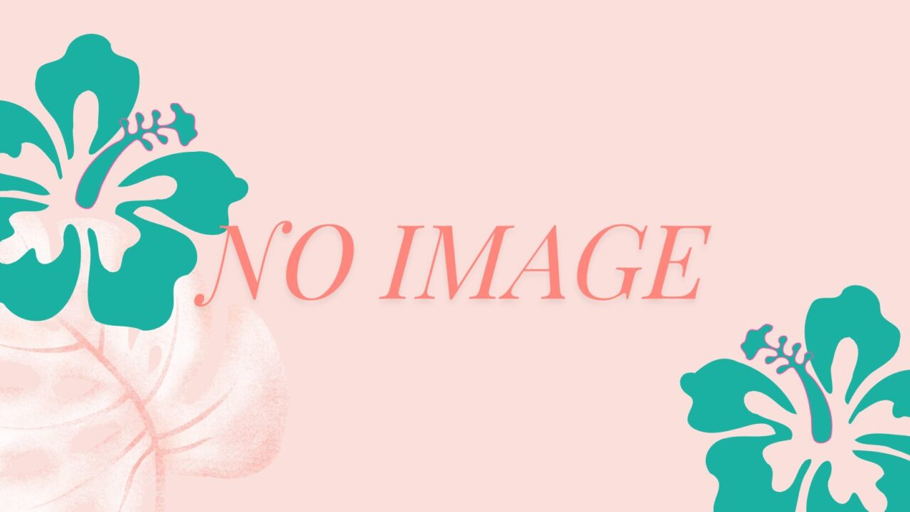画像が貼り付けれていない。NO IMAGE.